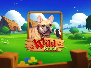 Wild Ranch screenshot